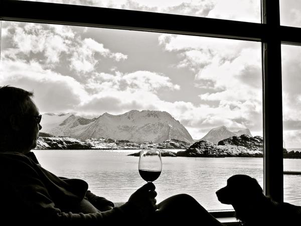 Norway Northern Lights and wildlife holiday