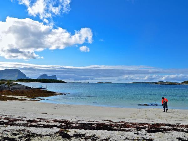 Norway Northern Lights and wildlife holiday