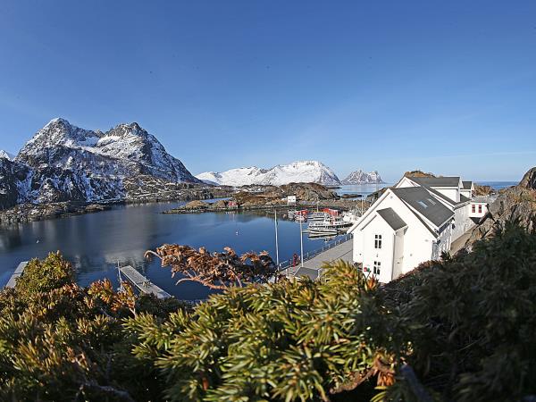 Norway Northern Lights and wildlife holiday