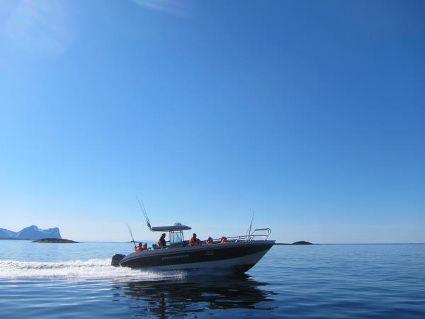 Norway Northern Lights and wildlife holiday