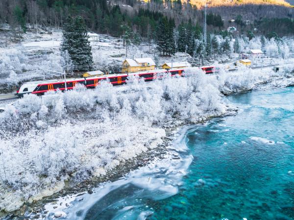 Norway and Finland Northern Lights Fjord tour