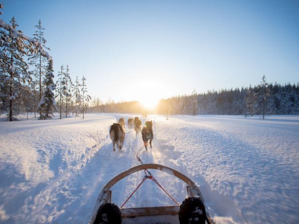 Norway and Finland Northern Lights Fjord tour