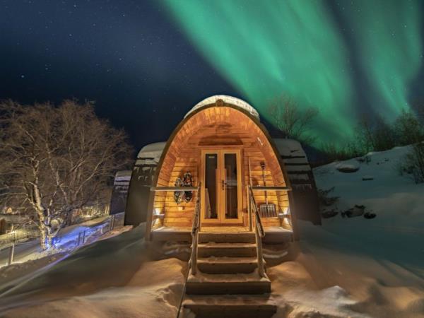 Norway Northern Lights and Fjords holiday