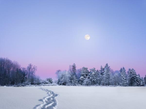 Norway Northern Lights and Fjords holiday