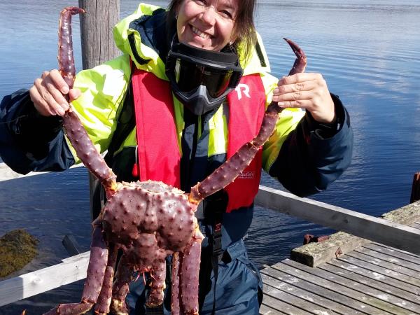 Norway highlights and Northern Lights holiday