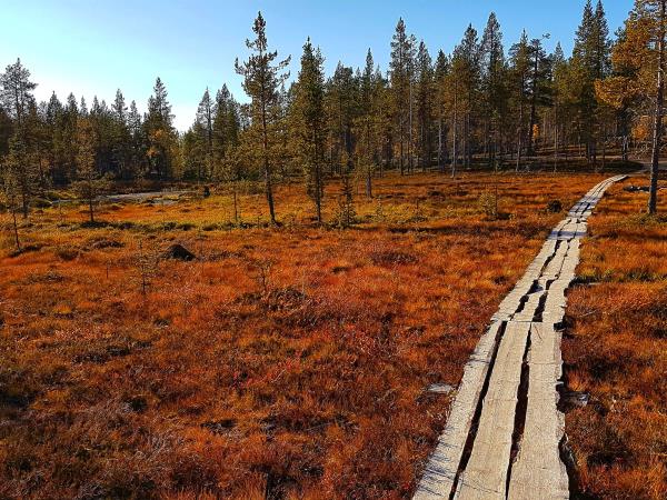 Finnish Lapland Autumn Northern Lights holiday