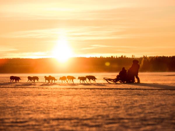 Swedish Lapland short break, glamping and wellness