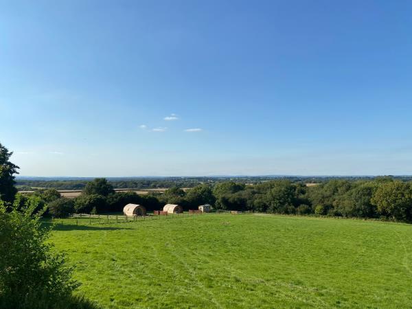 Glamping pods in the South Downs