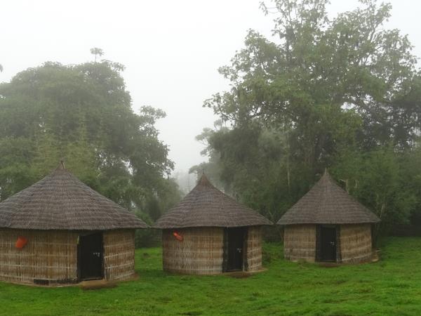 Bale Mountains holiday in Ethiopia