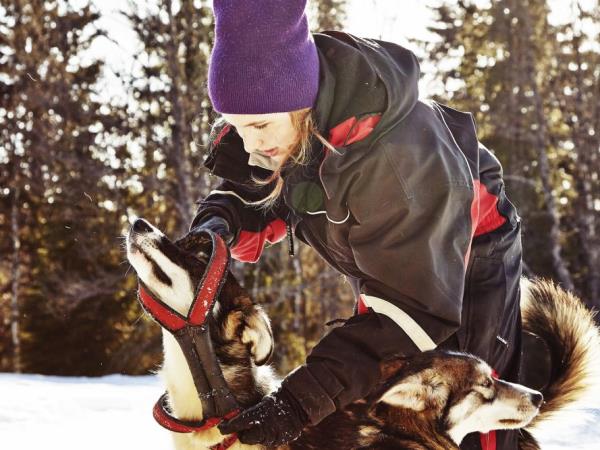 Dogsledding in Swedish Lapland holiday
