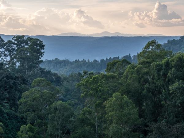 Ethiopia coffee tour
