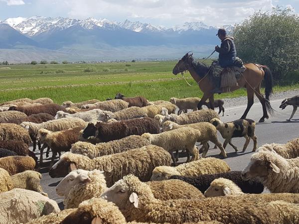 Kyrgyzstan Great Lakes nomad adventure