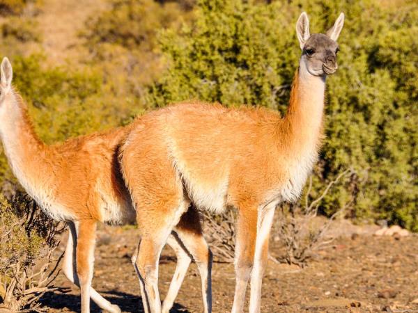 Wine and Landscapes of Argentina holiday | Responsible Travel Wine and Landscapes of Argentina holiday | Responsible Travel