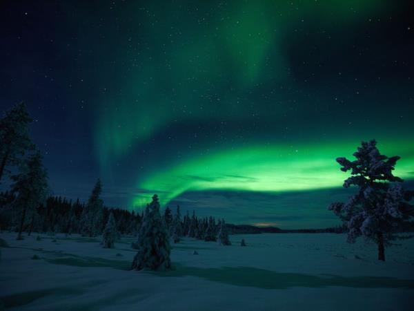 Dogsledding in Swedish Lapland holiday