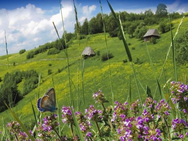 Romania hiking holiday