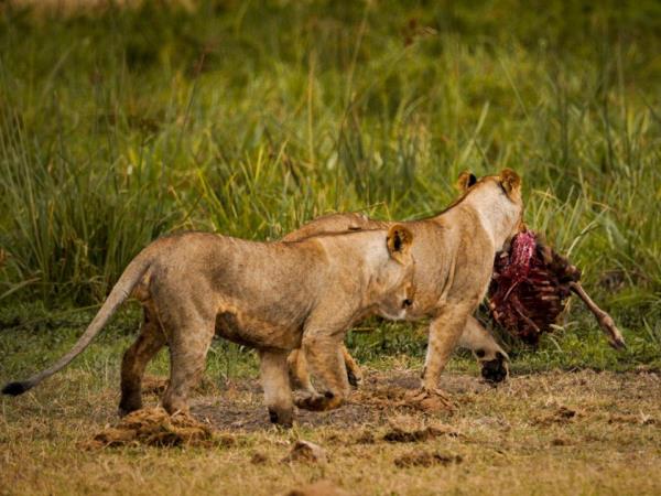 Tanzania on a budget