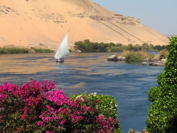 Ancient Egypt holiday, 2 weeks