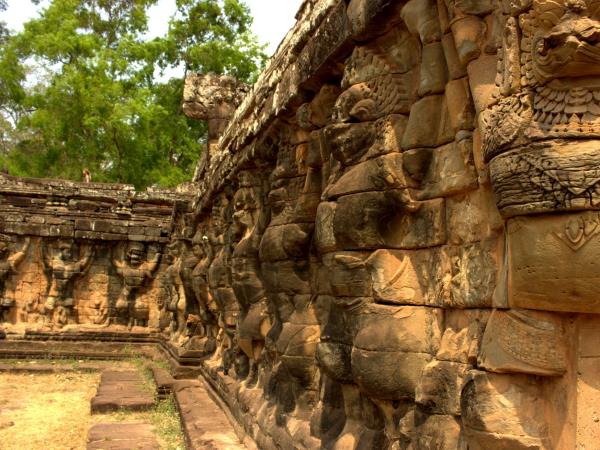 Cambodia & Vietnam wildlife tour
