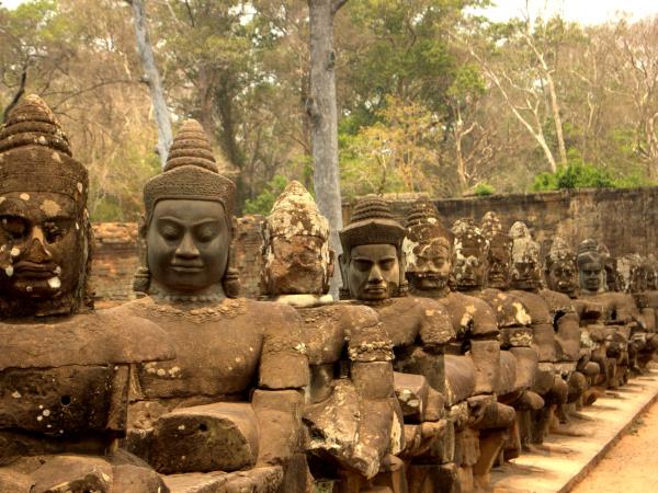 Cambodia & Vietnam wildlife tour
