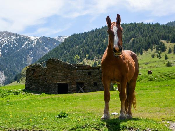 Catalan Pyrenees walking holiday