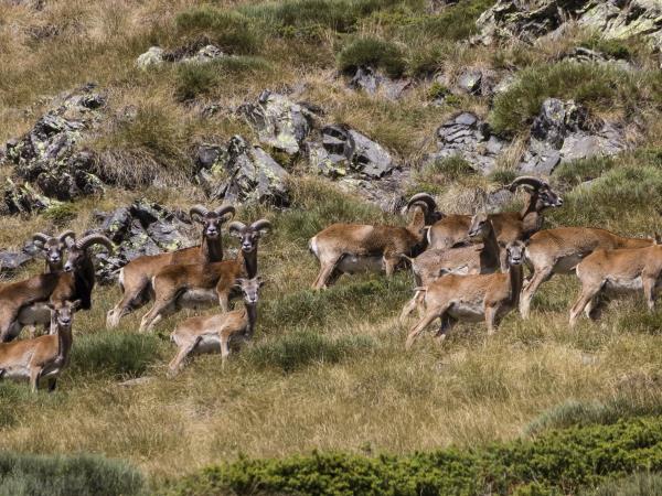 Catalan Pyrenees walking holiday