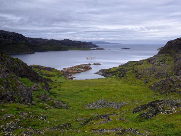 Whale watching in Norway, sailing cruise