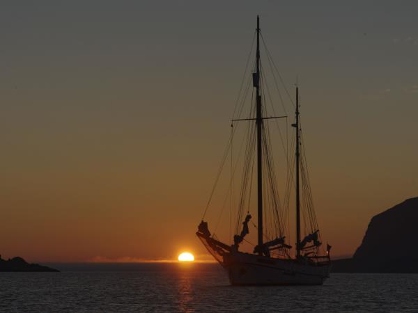 Whale watching in Norway, sailing cruise