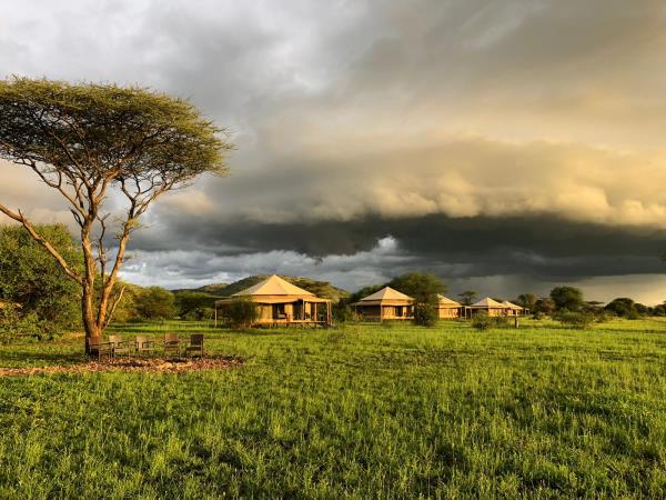 Serengeti migration safari in Tanzania