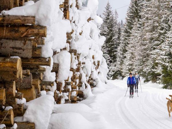 Austria skiing and winter activity holiday