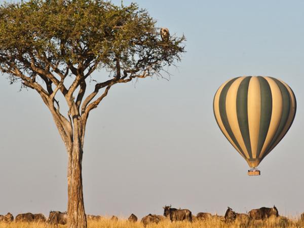 Kenya & Tanzania holiday, East Africa highlights