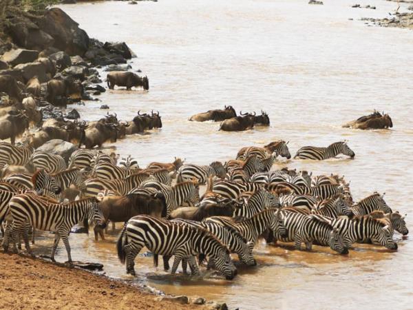 Kenya & Tanzania holiday, East Africa highlights