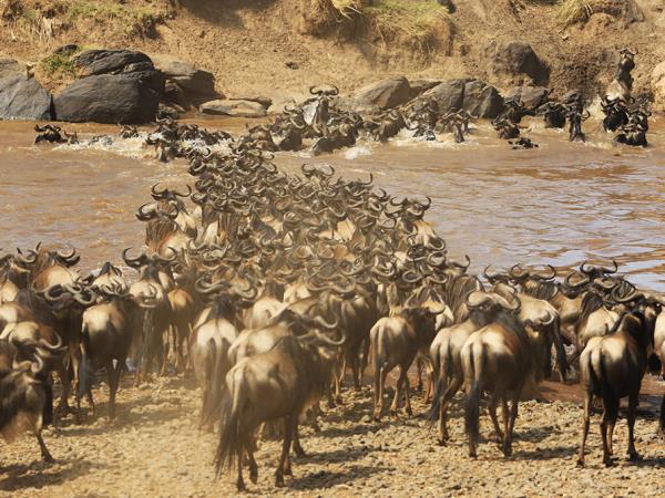 Kenya and Tanzania small group safari holiday
