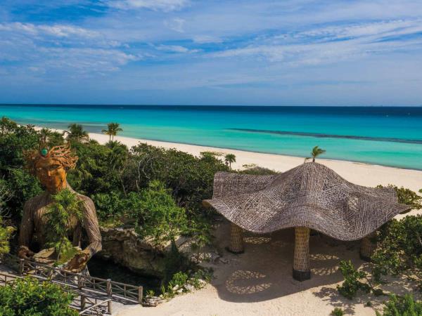 Vegan New Years adventure in Mexico