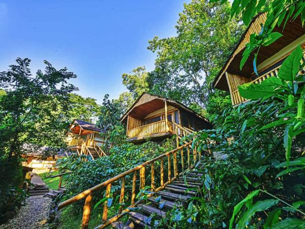 Uganda gorilla express tour