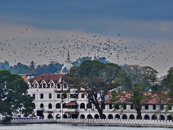 Sri Lanka tour, off the beaten track
