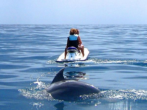 Kenya luxury family safari and beach holiday
