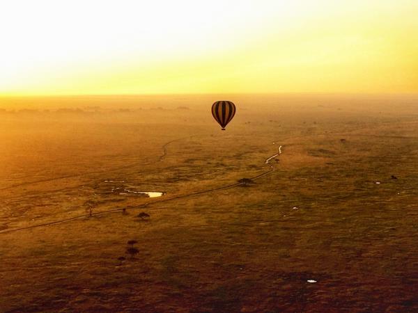 Tanzania Luxury safari holiday