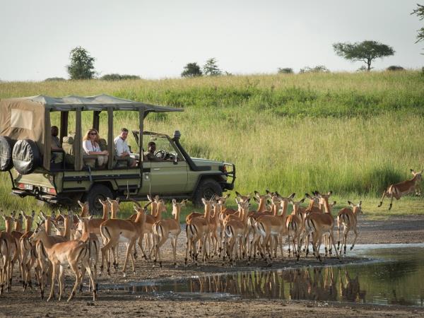 Tanzania safari holiday in the Serengeti