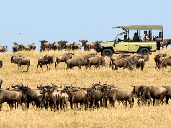 Tanzania safari holiday in the Serengeti