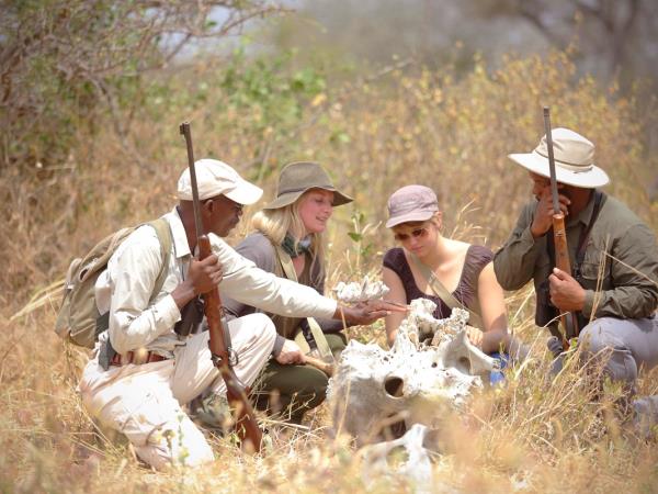 Tanzania safari holiday in the Serengeti