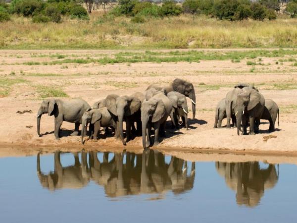 Tanzania luxury safari and beach holiday