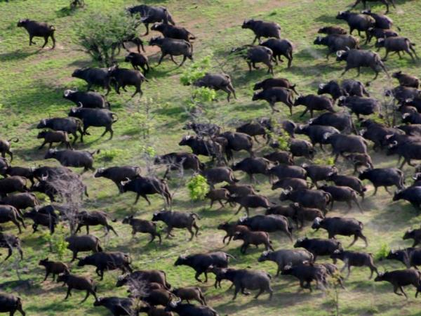 Tanzania luxury safari and beach holiday