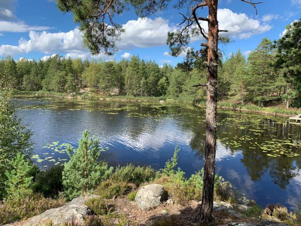Sweden holiday hiking the Sörmlandsleden trail | Responsible Travel