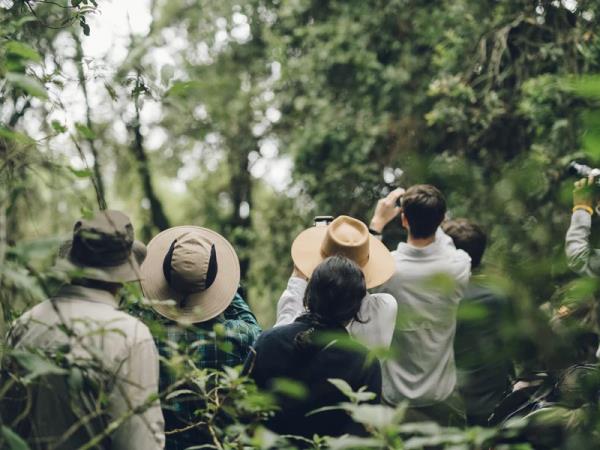 Western Uganda wildlife tour