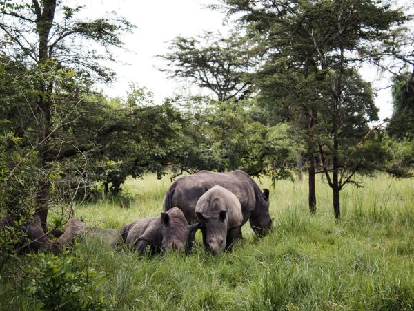 Western Uganda wildlife tour