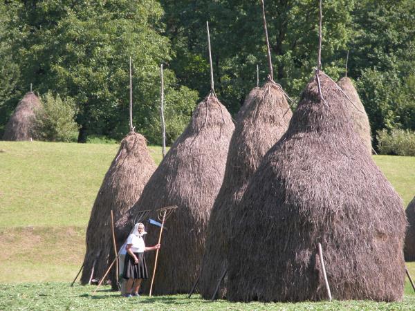 Easy walking holiday in Romania