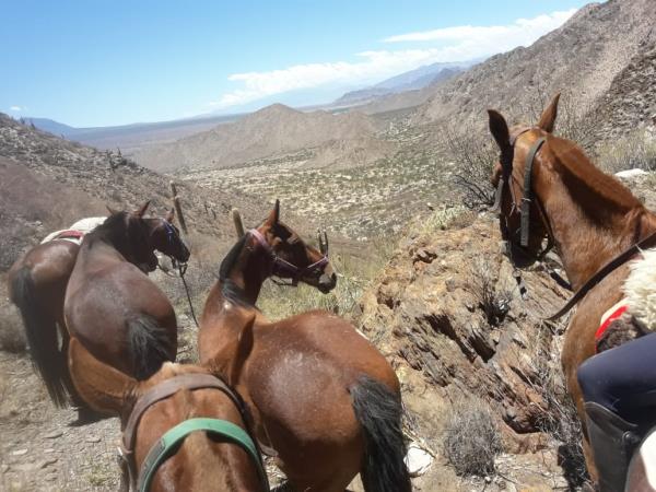 Argentina horseriding holiday in Calchaqui Valley