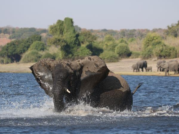 Botswana luxury small group safari holiday