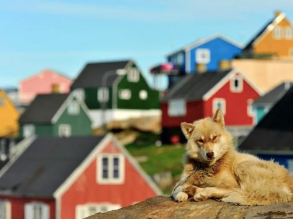 Greenland luxury tour