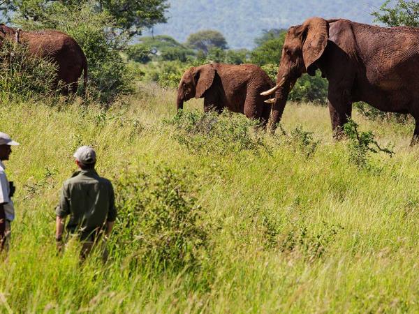 Tanzania Northern Circuit luxury safari